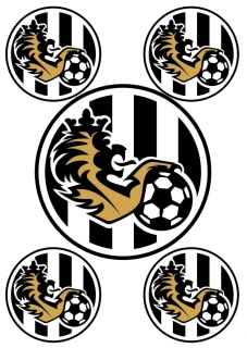 FC Hradec Králové logo nažehlovačka, 5 ks